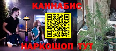 дмт Дубна