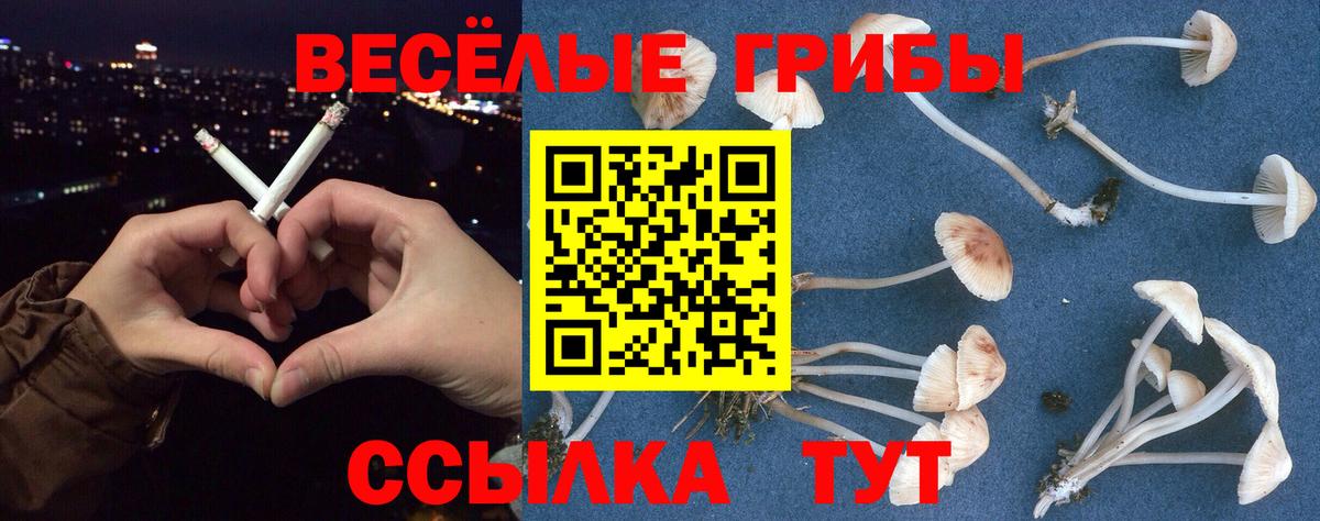 Междуреченск  Псилоцибиновые грибы мухоморы  Вход с VPN 